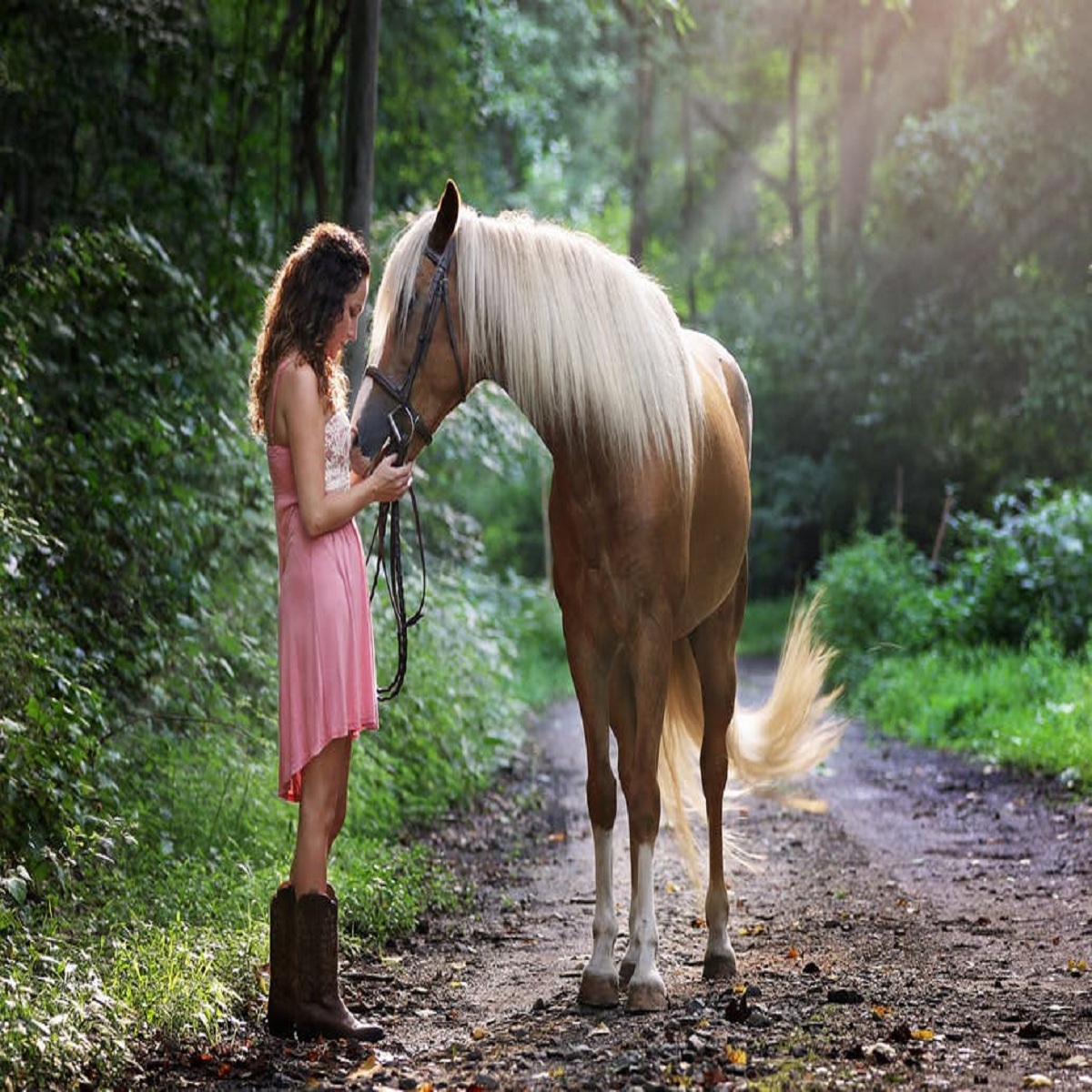 Basic Rules to Build a Healthy Relationship with Your Horse Pet